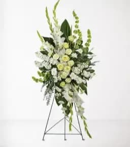 Splendid Life Spray Splendid Life Spray